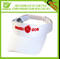 Sun Visor