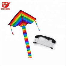 Promotional OEM Large Kites for Sale