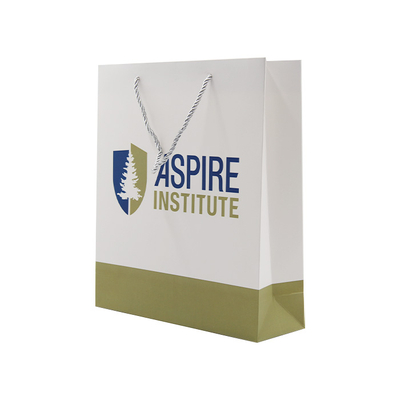 Wholesale Cheap Price Biodegradable Packaging Bag Custom Logo Shopping Paper Bag