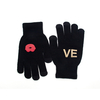 Wholesale Cheap Price Full Finger Hand Warmers Mitten Winter Touch Screen Gloves