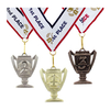 Wholesale Cheap Shooting Stars Award Medals With Ribbon